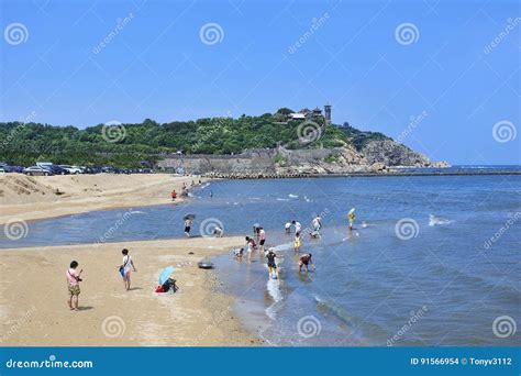 蓬萊去哪個沙灘——探索最佳的海岸線之旅